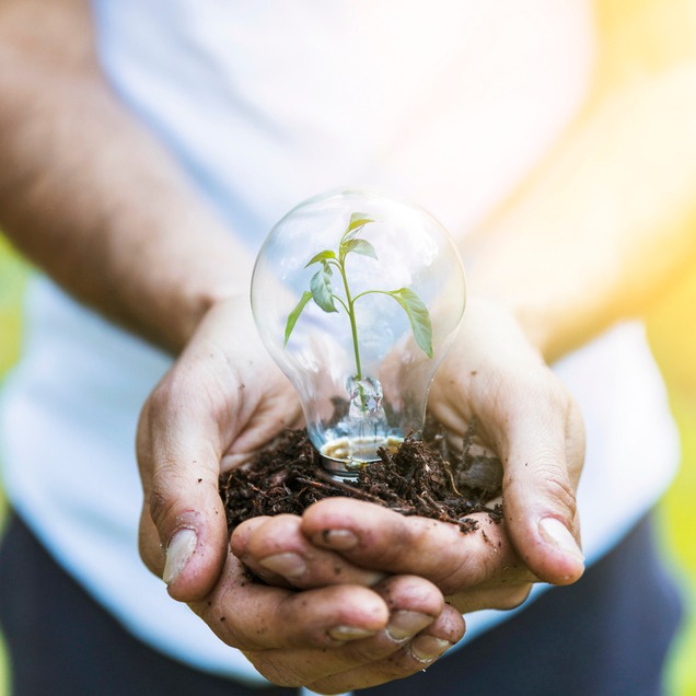 Sustentabilidade em Ação